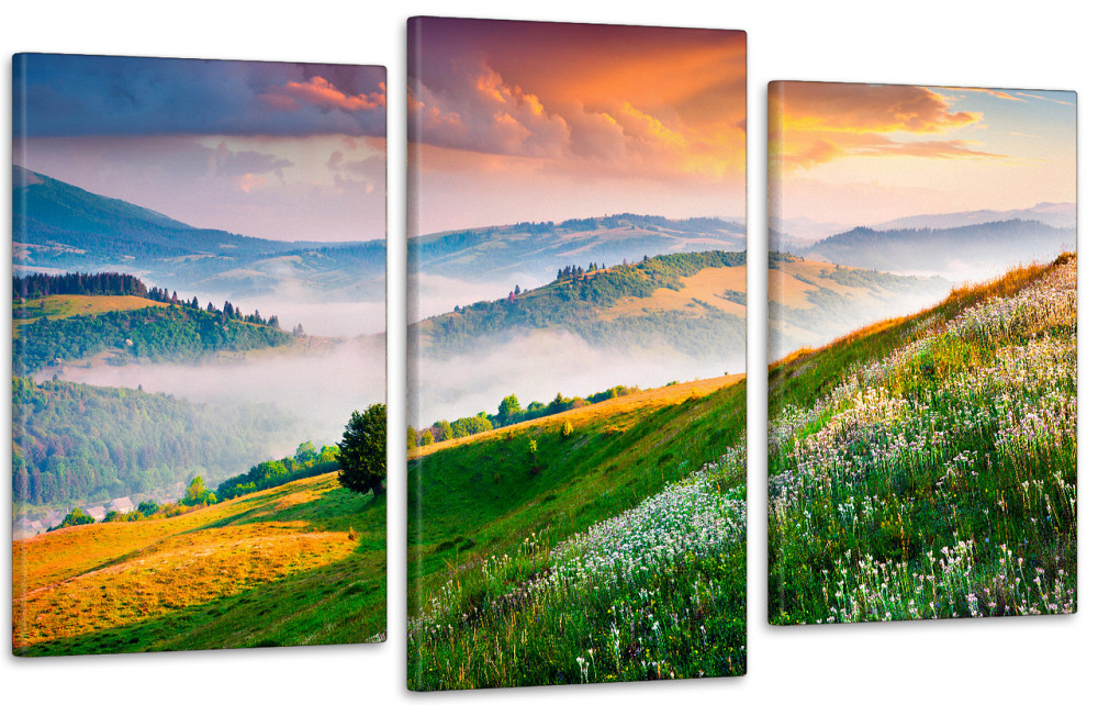 Модульная картина в гостиную / спальню   Природа  Art-724_3 Киев - изображение 1