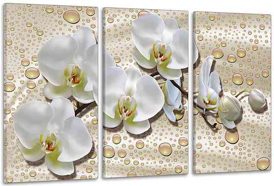 Модульная картина в гостиную / спальню   Біла Орхідея    ART-035_3A 70х130 см Киев