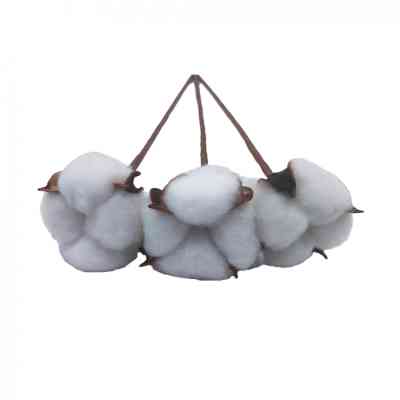 Декоративная ветвь YES! Fun Хлопок 3 шт Пучок 30 см (974814) Винница