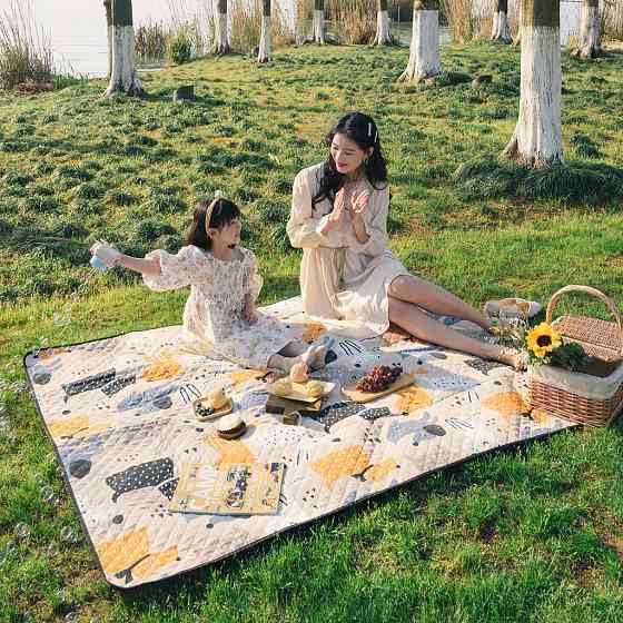 Килимок для пікніка Naturehike Picnic mat L 210*240 NH21FCD01 pet Київ