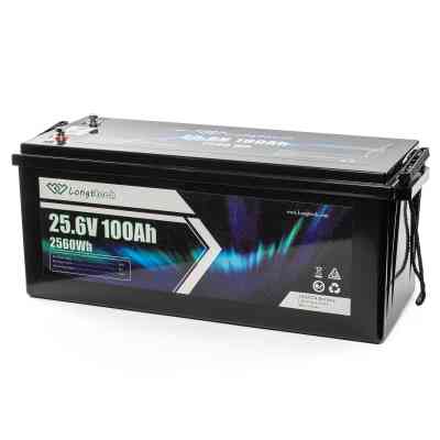 Батарея LiFePo4 Longttech 24V - 100Ah (LAR24100-LT160-P) Вінниця