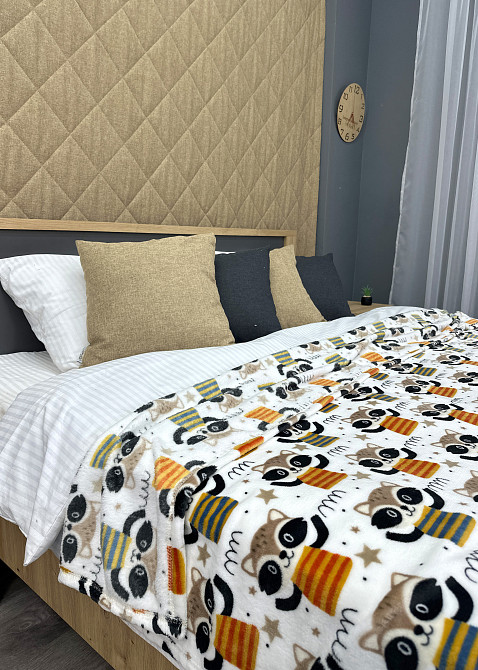 Плед-покривало Decorator WellSoft RACCOON 150х210 см з принтом "Єноти" (87-192) Київ - фото 6