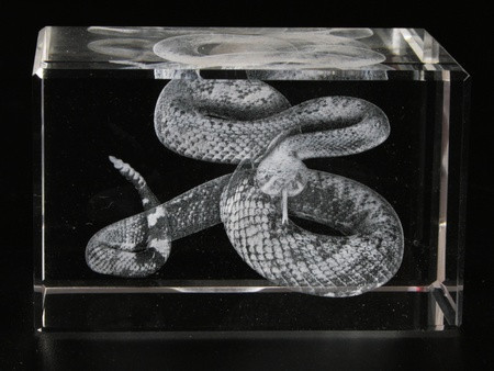 Змія голограма в кришталі Київ - фото 1