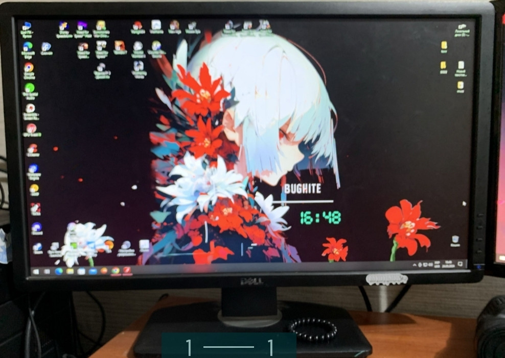 Монитор: DELL P2412HB Киев - изображение 1