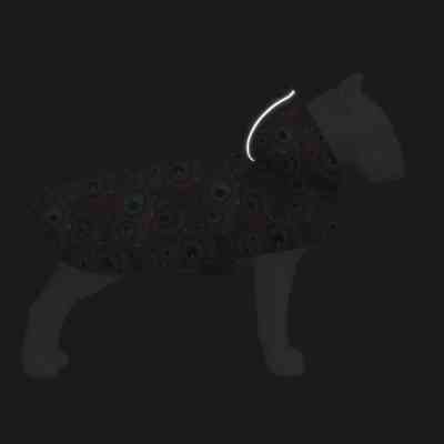 Дождевик для животных WAUDOG Clothes Накидка с капюшоном Глаз монстра XXS (354-4049) Винница