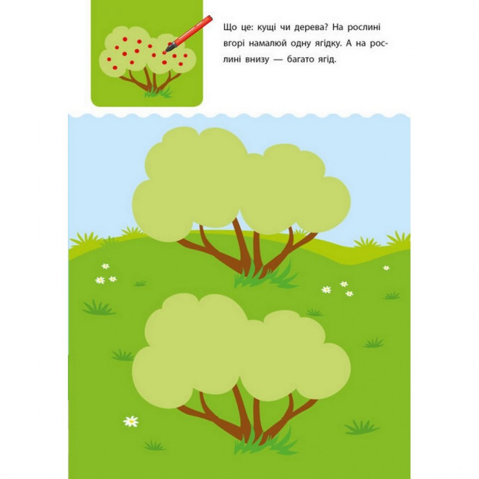 Обучающая книга 