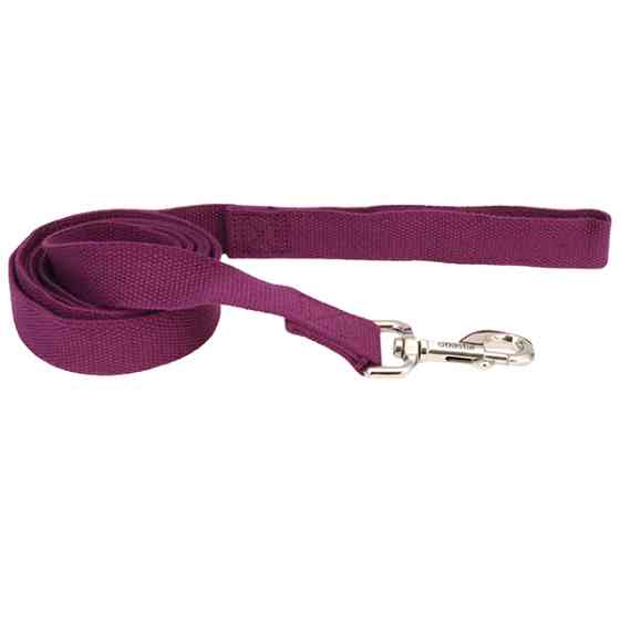 Coastal New Earth Soy Dog Leash КОСТАЛ СОЄВИЙ ЕКОПОВІДЕЦЬ для собак Київ