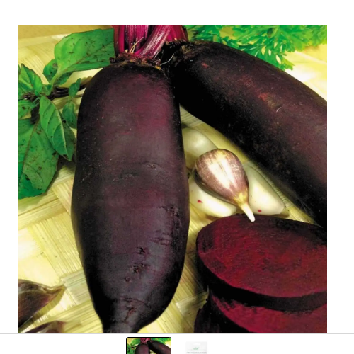 Буряк столовий Циліндра 5гр Професійне насіння Житомир - изображение 3