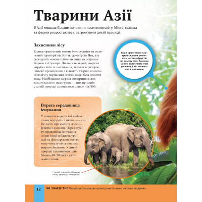 Книга Дитяча енциклопедія довкілля Vivat (9786171704831) Вінниця - фото 7