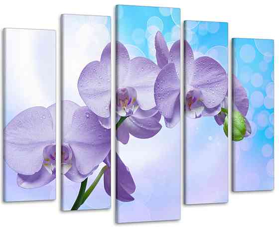 Модульна картина Орхідея Art-307_5 ( 80х118см ) Київ