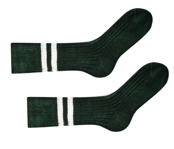 Шкарпетки Sammy Icon Vert 36-40 Винница