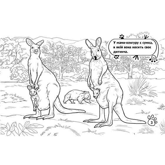 Дитяча розмальовка "Тварини у далеких краях" 583009, 16 сторінок Вінниця