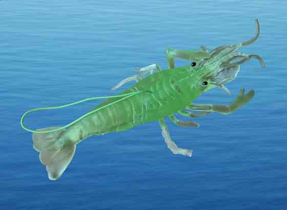 Силіконова велика креветка люмінесцентна 13 см салатовий Київ