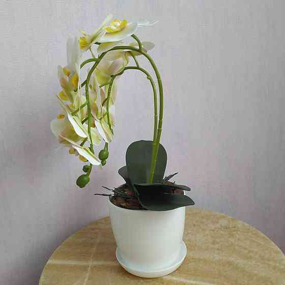 Штучна латексна міні орхідея в білому пластиковому кашпо на дві гілки біла Дніпро