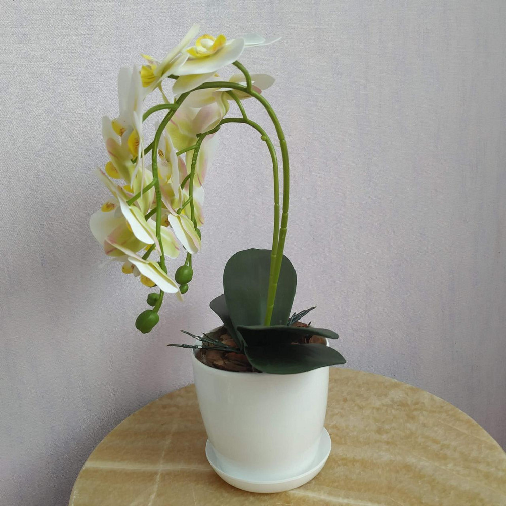 Штучна латексна міні орхідея в білому пластиковому кашпо на дві гілки біла Дніпро - фото 2