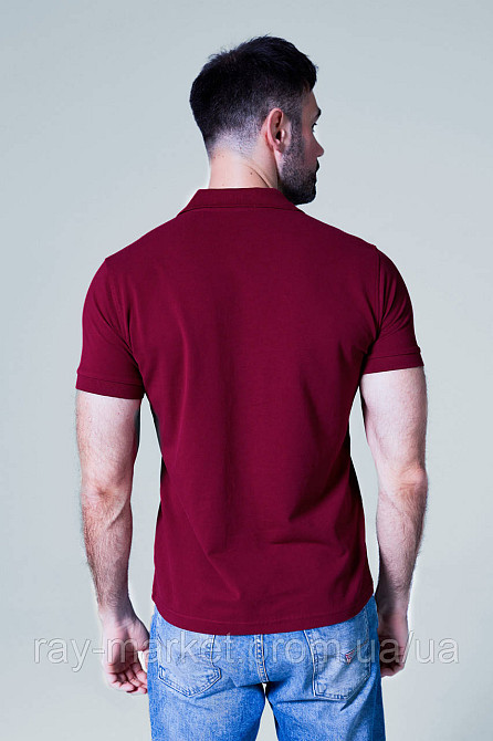 Поло классическое Stedman Lux Polo мужское бордовое (ST9060-BOD) XXL Киев - изображение 4