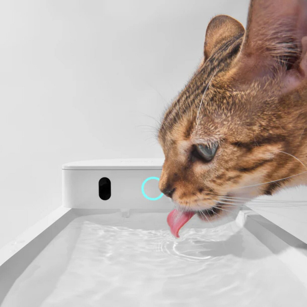 Поїлка CATLINK AI Water Fountain - Wireless (6972884750873) Київ - фото 3