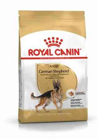 Royal Canin German Sheperd Adult (Рояв Канін Джерман Шеперд Едалт) сухий корм для дорослої німецької вівчарки 11 кілограмів. Запоріжжя