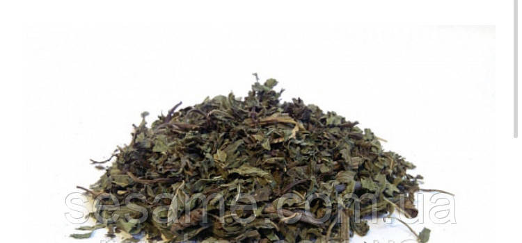 Мята перечная (пак/50грамм) Харьков - изображение 1