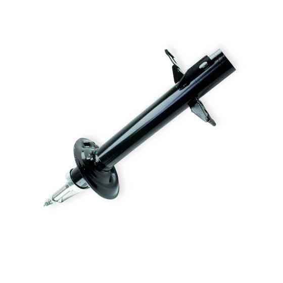 Амортизатор Фиат Ducato-Пежо Боксер 06- (1.8t) передний Мукачево