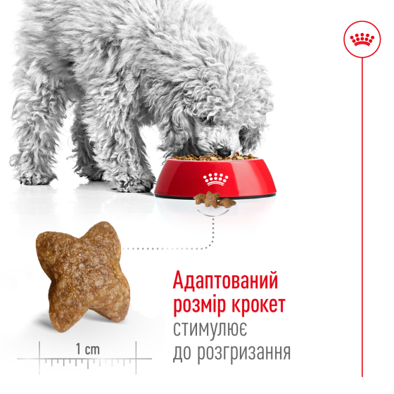 Корм для дорослих собак малих порід ROYAL CANIN MINI ADULT 0.8 кг Київ