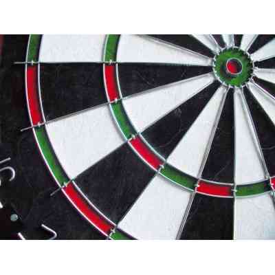 Дартс Equinox Classic Aries (DA-11) (929732) Винница