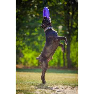 Игрушка для собак Puller Maxi 30 см (6492) Винница