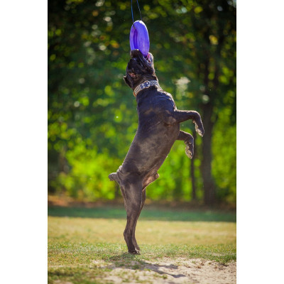 Игрушка для собак Puller Maxi 30 см (6492) Винница - изображение 5