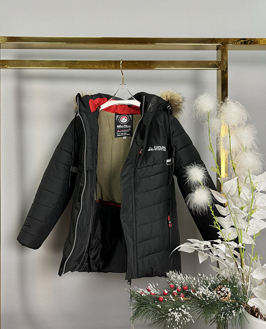 Детская куртка на мальчика еврозима черная 110,116,122 Николаев - изображение 3