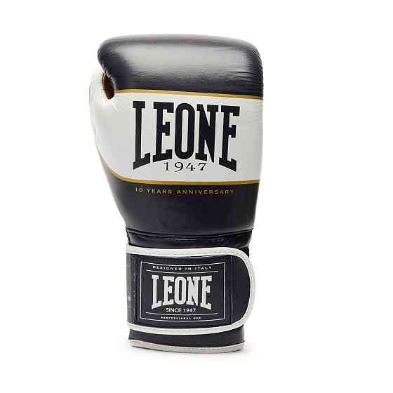 Боксерські рукавички Leone Shock X Blue 14 ун. Кам'янське