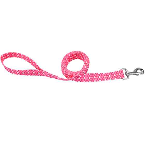 Coastal Pet Attire Styles КОСТАЛ СТАЙЛС повідець для собак, 2смХ1.2м Київ