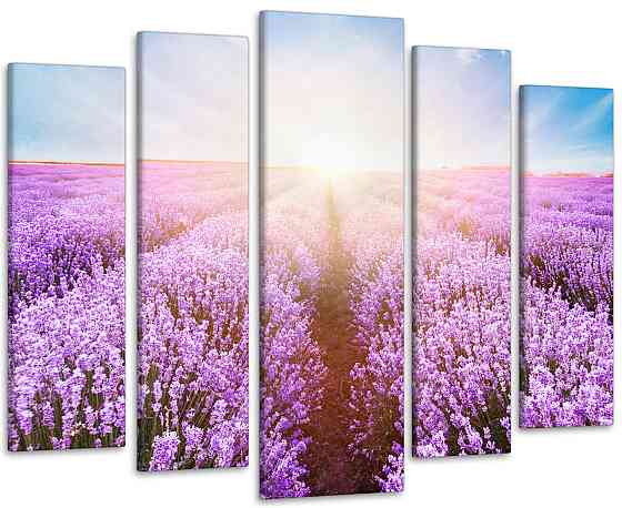 Модульна картина Полі Лаванда Art-173_5 Київ