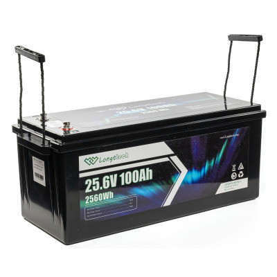 Батарея LiFePo4 Longttech 24V - 100Ah (LAR24100-LT160-P) Вінниця - фото 6