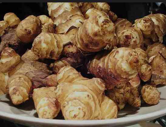 Топинамбур земляная груша 1 кг Киев