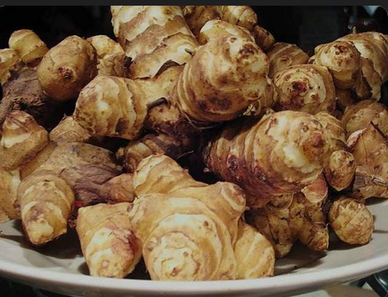 Топінамбур 1 кг Київ - фото 1