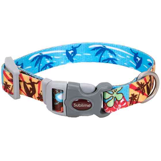 Coastal Sublime КОСТАЛ СУБЛИМ ошейник для собак, 1.9x30см Киев
