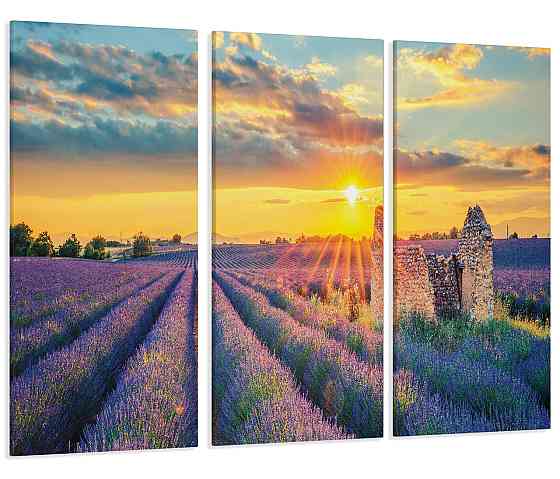 Модульная картина Прованс Лавандовое поле Art-198_XXL 70x130 см Киев