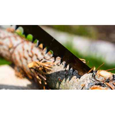 Ножовка Topex лучковая 760 мм (10A907) Винница