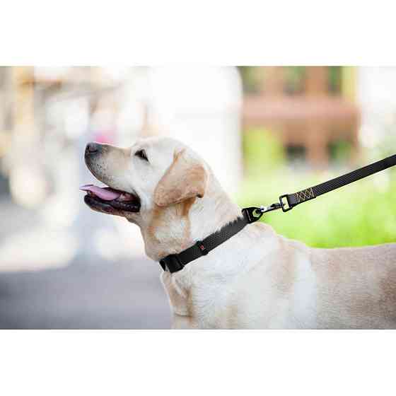 Повідець "Еволютор" (ширина 25 мм, довжина 210 см) чорний Коломыя