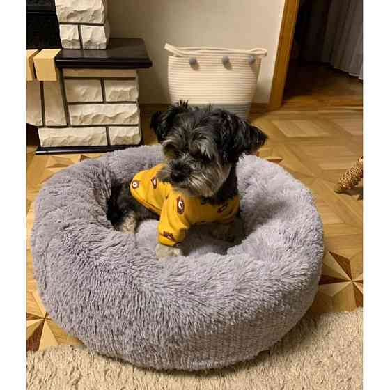Лежанка для кошек и собак «Ворс» L (60см), Сірий Киев