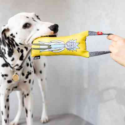 Игрушка для собак WAUDOG Fun "Рик и Морти 2" с пискавкой S (629-0281) Винница