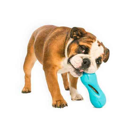 West Pow Qwizl Treat Toy (Вест Пав Квізл) іграшка для собак кісточку з отвором для ласощів маленький - 14 см., Оранжевий Запоріжжя