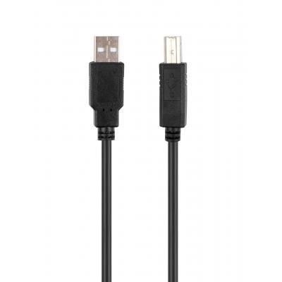Кабель для принтера USB 2.0 AM/BM 5.0 m Vinga (VCPUSBAMBM5BK) Вінниця - фото 2