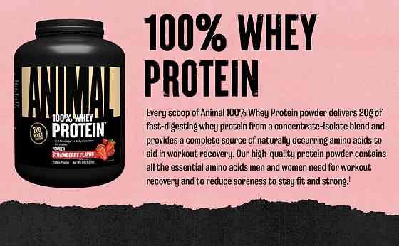 Протеїн Universal Nutrition Animal 100% Whey 1800 г, Strawberry Луцьк