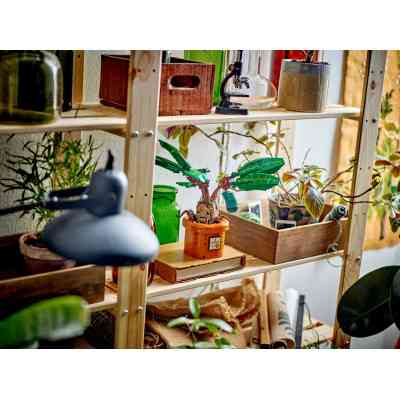 Конструктор LEGO Harry Potter Корінь мандрагори (76433) Вінниця