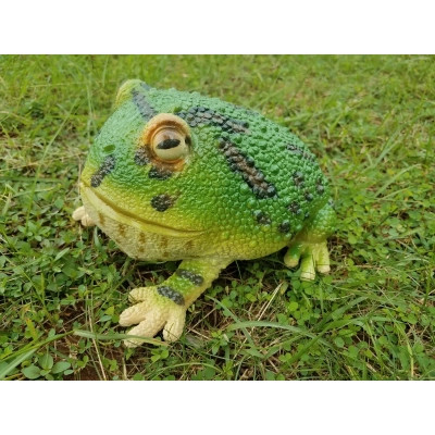 Фігурка Lanka Novelties Жаба аргентинська рогата , 25 см (21440) Вінниця - фото 1