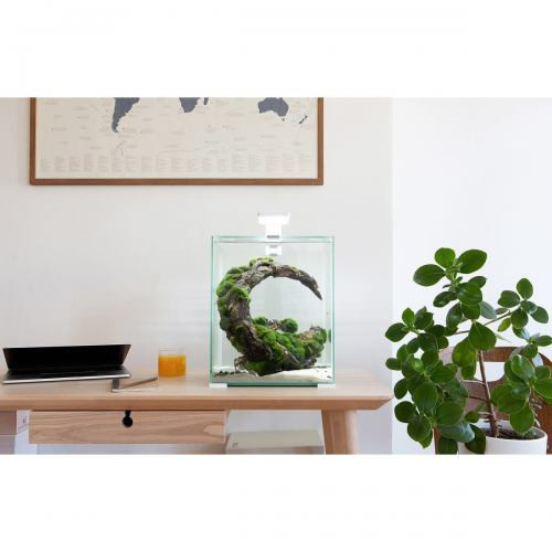 Акваріум Aquael Smart Day Night для креветок прямий білий 10 л Київ - фото 3