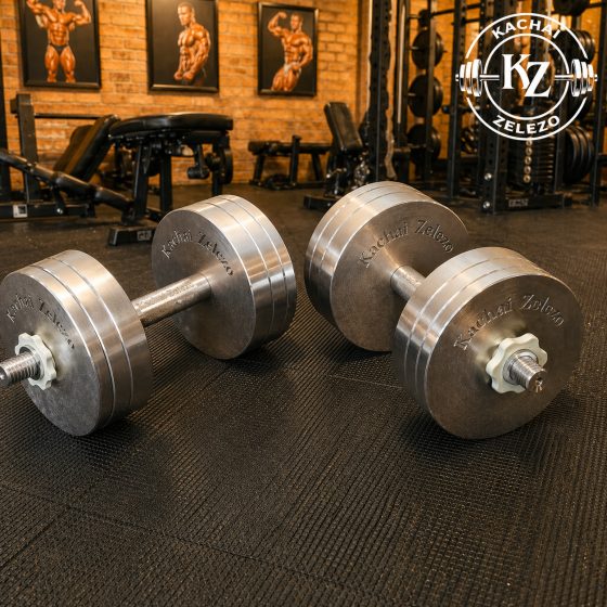 Гантелі набірні 2 по 24 кг металеві без покриття Kachai Zelezo Iron Pro Київ