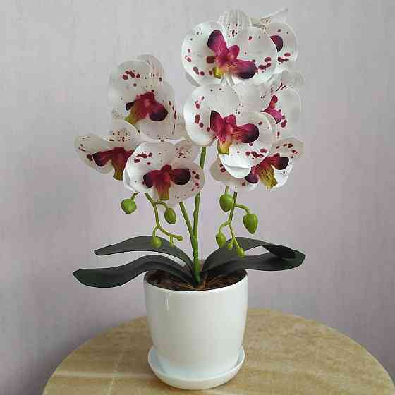 Штучна латексна міні орхідея в білому пластиковому кашпо на дві гілки біла в бордову крапку Дніпро