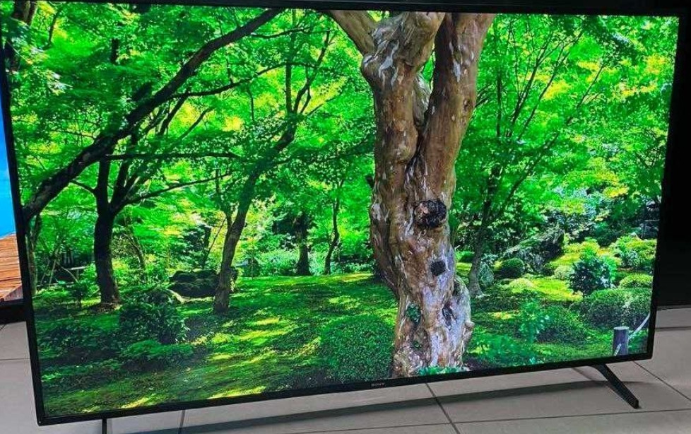 Телевизор Безрамный: 65